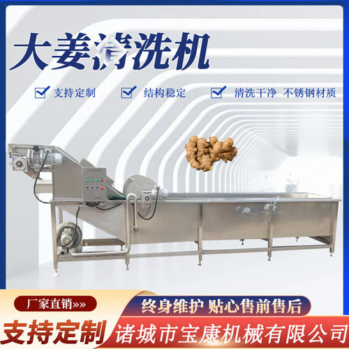 商用洗姜机  生姜清洗设备 生姜黄姜鲜姜洗姜机 风干水洗姜清洗机