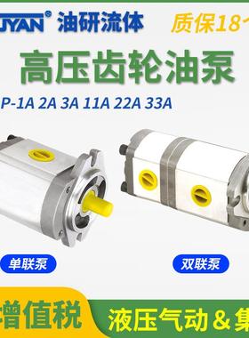HGP-1A-F1R-X-2B-10高压齿轮泵2A3456912液压11油泵F8R4BJ