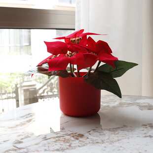 太阳能圣诞花束灯led仿真花盆灯一品红年宵花节日装饰氛围灯台灯