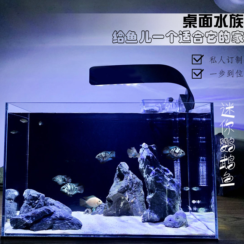 小智世界鱼缸迷你小型玻璃水族箱客厅桌面观赏造景创意迷你鹦鹉缸