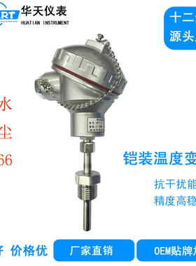 SBW-11 防水型铠装温度传感器一体化水温油温变送器热电阻热电偶