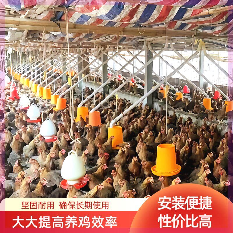 养殖料线养鸡场自动喂料机喂鸭分叉上料机鹅送料器猪投料全套设备