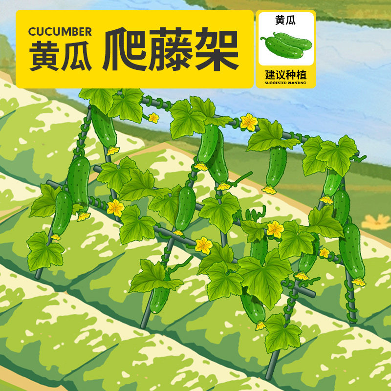 黄瓜豆角爬藤架种植箱菜苗支撑杆植物番茄固定攀爬架子园艺支架