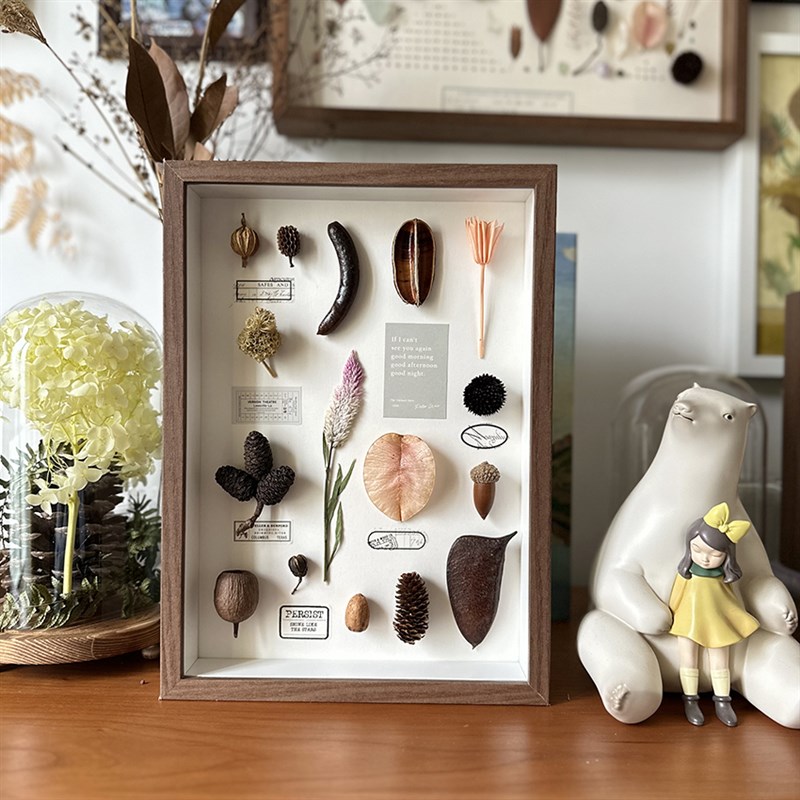 荷莯自然集天然果实干花植物标本画客厅装饰画复古侘寂日式挂画