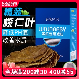鱼缸榄仁叶调节PH酸碱度水族懒人叶降酸揽人叶改善水质树叶斗鱼缸