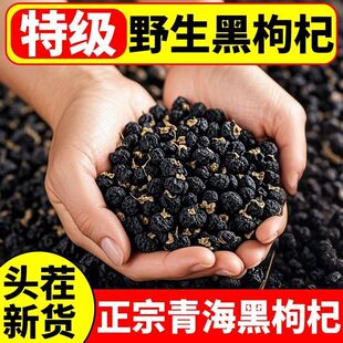 【正品黑枸杞】新货青海野生黑枸杞子天然滋补泡水泡茶免洗批发