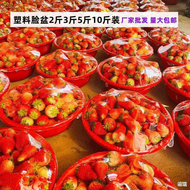 塑料脸盆2斤装3斤装5斤装10斤装草莓脸盆水果脸盆草莓盆小号红色