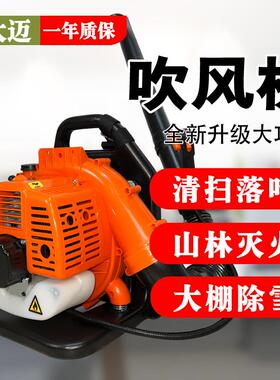 大量现货EB808型汽油背负式吹风机EB9900型四冲程吹叶机吹雪机