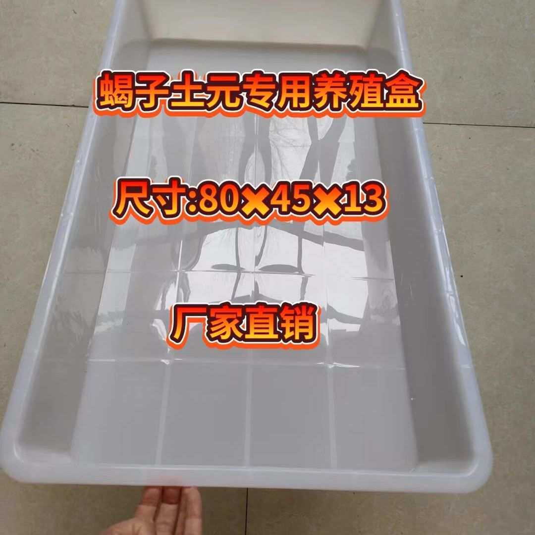 盒蝎子土元养殖饲养盒养殖新款肥盒肓盒养殖盒厂家直销塑料蝎子