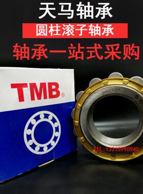 TMB天马圆柱偏心滚子减速机摆线轴承RN208 RN209 RN210 RN211M WY