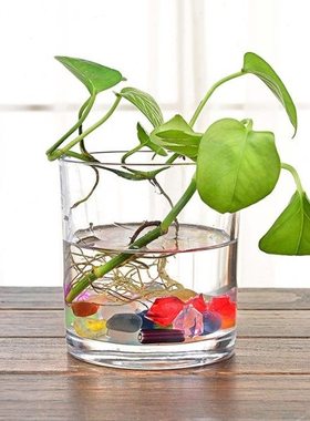 水培植物玻璃瓶 透明现代直筒圆柱形花瓶简约玻璃方缸 水培瓶子