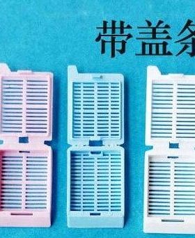 黄色包埋盒(条形孔 连盖,可折断) 约250个/包 包埋框/石蜡切片盒