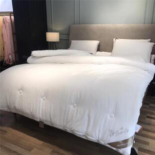 简约纯色冬被加厚保YDX暖棉双胎被子纯大磨毛被芯母子被秋冬四季