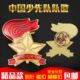 中国少先队队徽 少先队队徽徽章 少先队员队徽 标准型 校徽 学生
