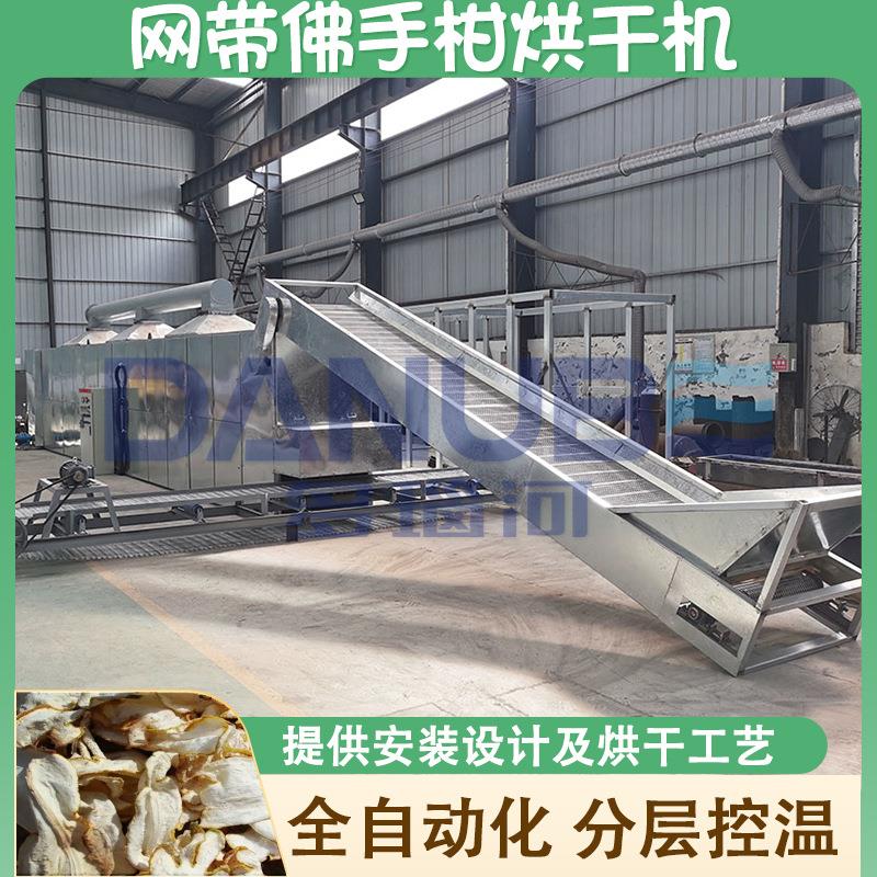 网带佛手烘干机连续式佛手果佛手干佛手片干燥机佛手柑烘干设备