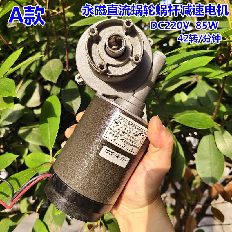 DC220eV大功率永磁直流马达蜗轮蜗杆直流减速电机 榨汁机面条机