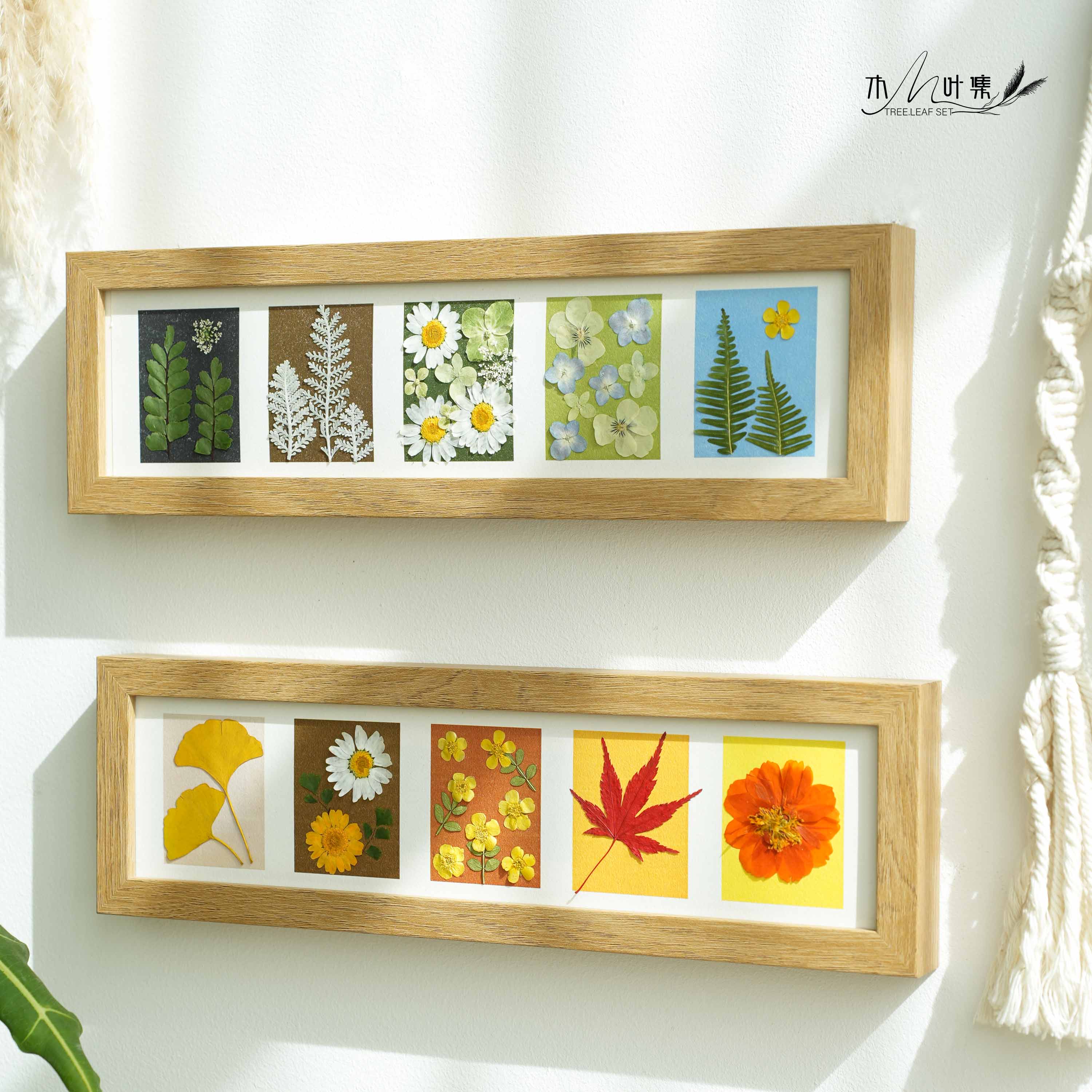 植物押花相框玄关摆件墙面C装饰置物架摆台送朋友好礼