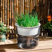 加厚云朵透明控脂根透气花盆庭透明自吸水可视水位大圆院形树盆栽