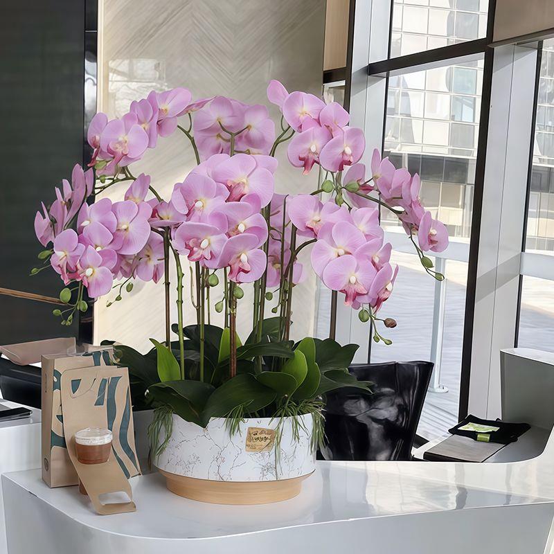 蝴蝶兰带花仿真花高档湿