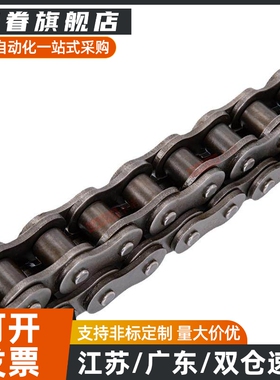 链条 CHEL/CHET40A/40B/40C-50A/50B/50C-60A/60B/60C-80A 双排链