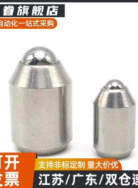BSZP5 6 8 10模具不锈钢重载型光身型球头柱塞无牙定位珠弹弓顶销