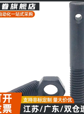 支柱孔全螺纹紧固件ASPO/AIPO/AIPOZ 碳钢发黑拉伸弹簧支柱孔