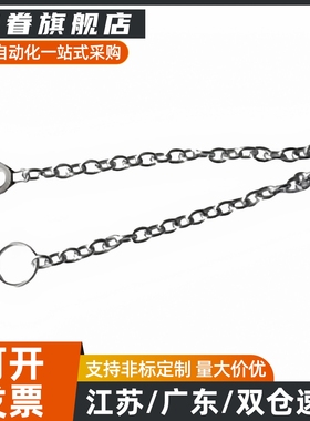 不锈钢旋钮用DPCH6-250防脱落链条 DPCH3/4/5/6/8/10-150-250-350