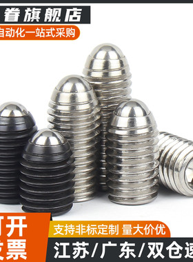 C-BPES/BPEU3/4/5/6/8/10/12/16一字槽球头柱塞