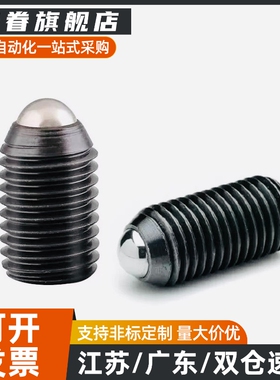 ZAC11/12-M3/M4/M5/M6/M8/M10/M12/M16球头柱塞 定位珠