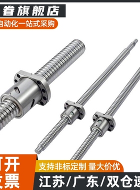滚珠丝杆BSST BSSR BSSZ (K)1204 2005 2010 2505 2510 3205 3210