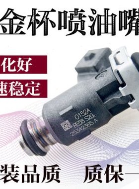 适用金杯格瑞斯锐驰491v19海狮中兴皮卡得利卡25342385A喷油嘴2孔
