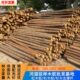 松木桩河道护坡打桩木防洪防汛原木实木桩水利工程建设杉木圆木桩