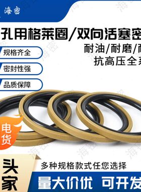 GSI孔用格莱圈STD205/210/220/225/230/240/250/260/270/280*8.1