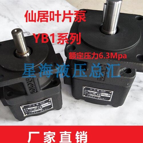 叶片泵YB1-100 YB1-6.3/10/25/32/40/50YB1-4仙居磨床铣床 YB1-80