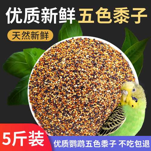 鹦鹉饲料鸟粮混合粮食小太阳玄凤虎皮牡丹营养鸟料鸟食五色黍子5 - 封面
