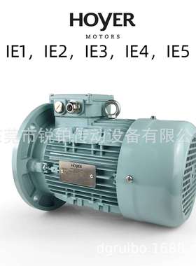 HOYER霍尔电机HMA2HMC2铝壳铸铁电动机MSY2E2HMA3HMC3船用