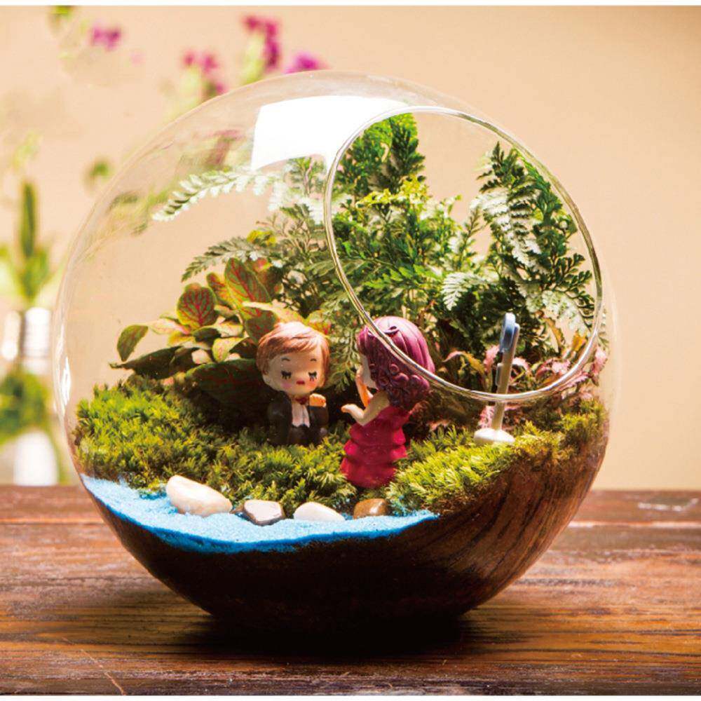 创意礼品苔藓礼微景观微景观生态套装tz-20181情侣瓶求婚物大号斜