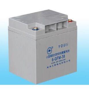 YOULI有利蓄电池6-GFM-24/12V24AH有利蓄电池12V26AH直流屏