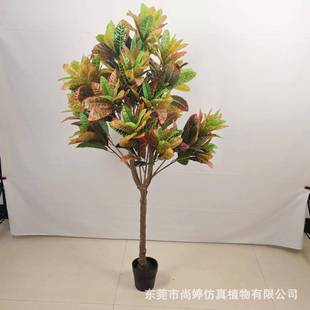 仿真洒金榕变色木北欧风室内人造植物室内装饰绿植盆景造景