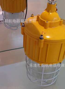 BPC8730B内场防爆灯_节能防爆平台灯 防眩泛光灯平台灯