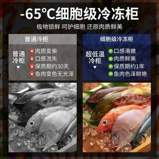 超低温冷冻柜-冰0度名贵鲜金枪4066鱼商海用小型柜科研-80度冰箱