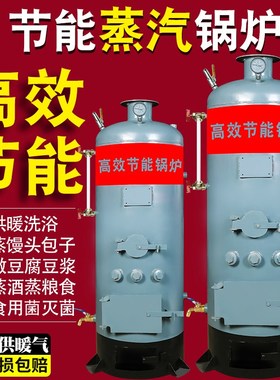 锅炉烧水蒸汽取供暖家用燃煤烧柴养殖蒸馒头采暖灭菌豆浆酿酒炉子