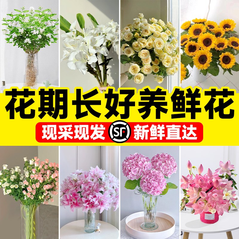 花期长好养的鲜花百合风铃鲜切花云南直发水培植物玫瑰花室内插花