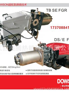 道森低氮燃烧机燃DS800/EFGR8吨锅炉百得低氮燃烧机锅炉改造