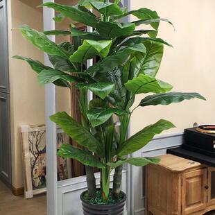 植物假盆栽室内装饰摆设网红落地仿生绿植假树客厅造景芭蕉树