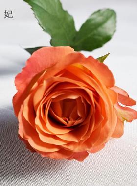 昆明基地橙色玫瑰花鲜切花插花装饰鲜花直发