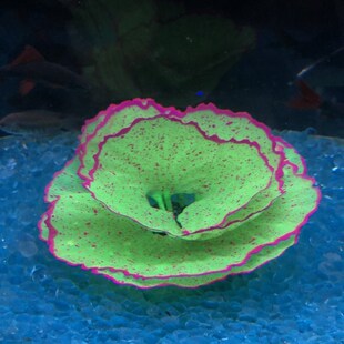 鱼缸造景仿真生菜珊瑚花果海底景物软体荧光硅胶珊瑚礁假水草摆件