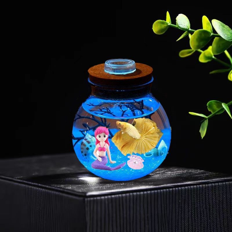 桌面小鱼缸带灯发光diy斗鱼缸微景观生态玻璃瓶迷你创意透明礼品
