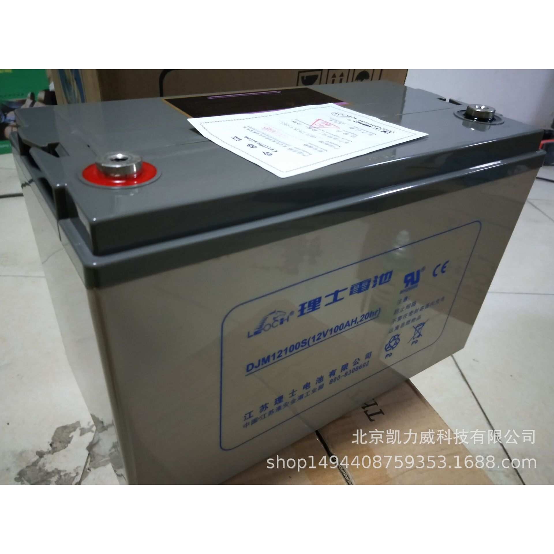 理士(LEOCH) DJM12100 不间断电源电池 12V100AH EPS铅酸蓄电池