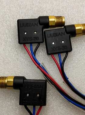 浙江流遍XYS-5分油器检知XYS-20循环指示器LXW10检测开关XYS-10